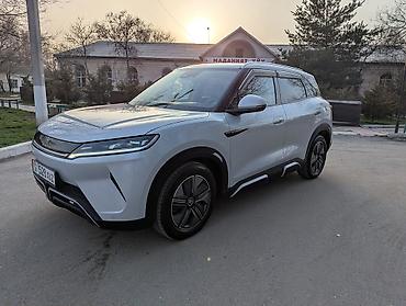 BYD: BYD Yuan Up: 2024 г., Электромобиль, Кроссовер — 2