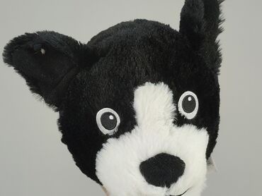 trampki dzieciece 25: Mascot Dog, condition - Very good