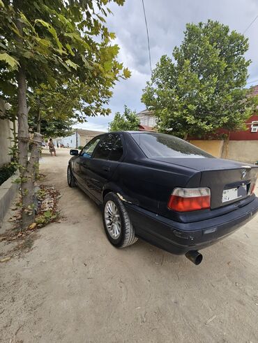 avtomobil bmw: BMW 316: 1.6 l | 1995 il Sedan