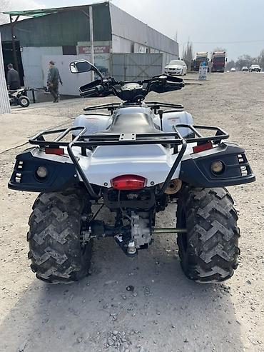 Квадроциклы: Квадроцикл Linhai 300 (4x4) - Мощный утилитарный ATV с полным — 7