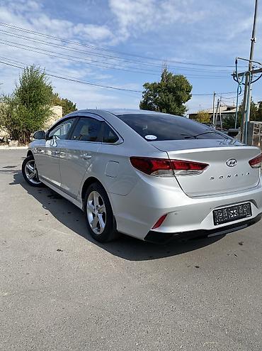 Hyundai: Hyundai Sonata: 2021 г., 2 л, Газ — 14
