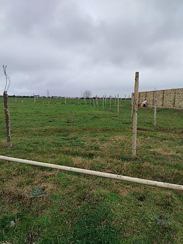 Torpaq sahələrinin satışı: 8 sot, Tikinti, Mülkiyyətçi, Kupça (Çıxarış) — 10