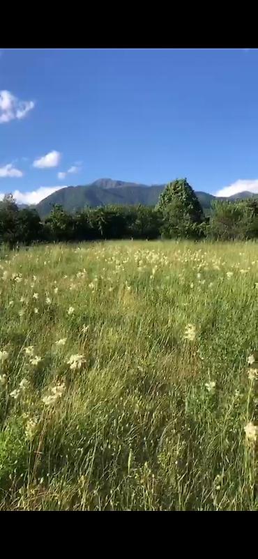 qalada torpaq: 52 sot, Kənd təsərrüfatı, Mülkiyyətçi, Kupça (Çıxarış) — 3