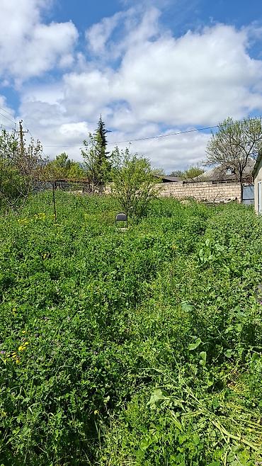 Torpaq sahələrinin satışı: 10 sot, Kənd təsərrüfatı, Mülkiyyətçi, Bələdiyyə — 1