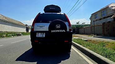 type r: Honda CR-V: 2003 г., 0.2 л, Автомат, Бензин, Кроссовер — 4