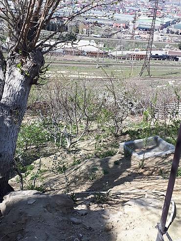 gence pasyolka: Binəqədi qəs. 9 otaq, 800 kv. m, Yeni təmirli — 2