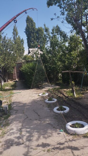 стеллаж для овощей: Самодельная конструкция для выращивания вьющихся растений, таких как