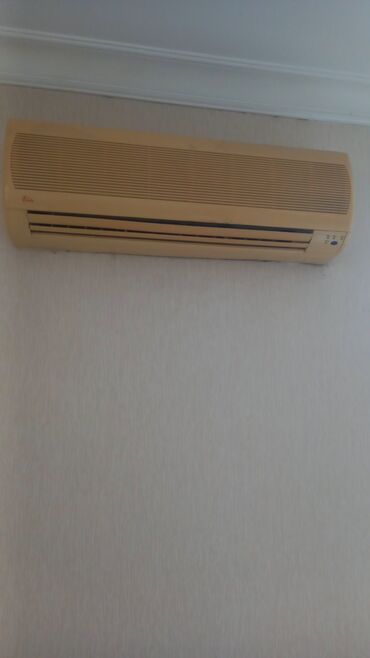 енот в баку купить: Satilir 120m