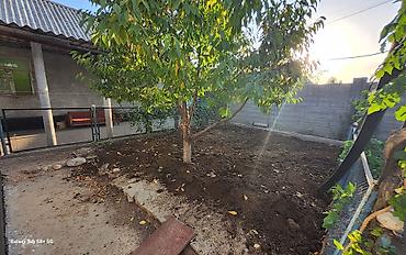 дом пр: Дом с газовым(природный) отоплением(основном), угольным и трехфазным — 1