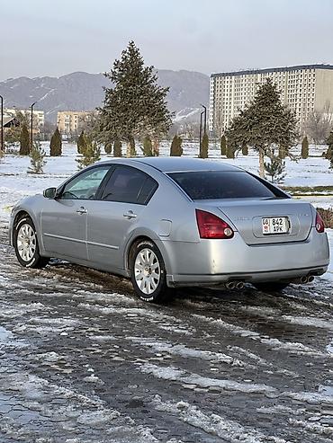 Nissan: Nissan Maxima: 2004 г., 3.5 л, Автомат, Бензин, Седан — 5
