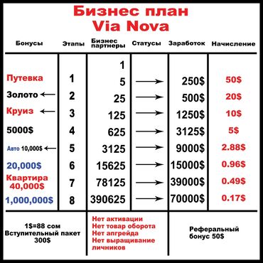 готовый бизнес план: Бизнес-план многоуровневого маркетинга (MLM) для компании Via Nova