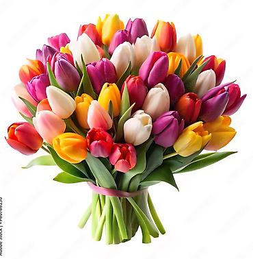 Букеты из живых цветов: Букеты из тюльпанов - Авторские композиции из свежесрезанных — 2