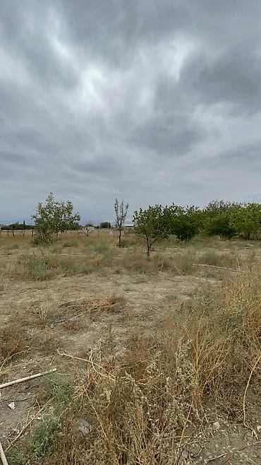 Həyət evləri və villaların satışı: Ev satılır elaqe-099-801-08-61 -da lalafo.az — 22 Həyət evləri və villaların satışı: Ev satılır elaqe-099-801-08-61 — 22