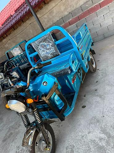mini ev: Грузовой электротрицикл (трёхколёсный скутер) с кузовом - Тип — 1
