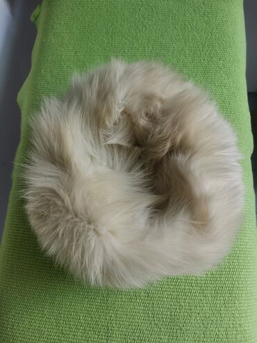 elegantne kape: Šubara od bele lisice, dubina 10 cm, obim 58 cm
