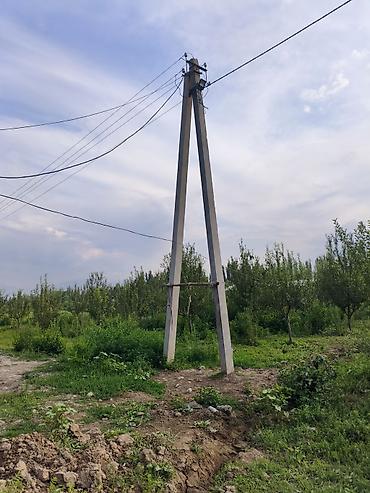 продажа уч ысык кол: 100 соток, Для сельского хозяйства, Красная книга — 3