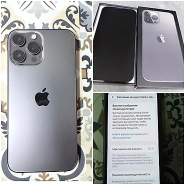 iphone 2020: IPhone 13 Pro Max — 1