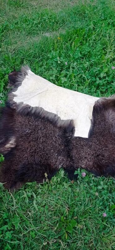 Ковры и паласы: Ковер Новый, Мех, Безналичная/наличная оплата at lalafo.kg — 4 Ковры и паласы: Ковер Новый, Мех, Безналичная/наличная оплата — 4