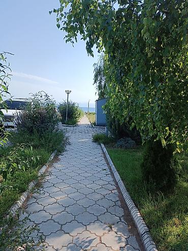act building: Аренда квартиры на Иссык-Куле, Витязь (Мурас), Чок-Тал, 4 места, Цена Целиком за жилье — 1