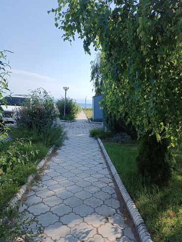 пансионат солнечный иссык куль: Квартира, ЦО Витязь, Чок-Тал, Детская площадка, Охраняемая территория, Закрытый пляж