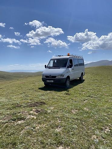 тент для спринтер: Mercedes-Benz Sprinter 313/314 (длинная база, белый). Универсальный — 3