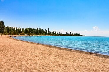 Продажа домов: Дом, 76 м², 4 комнаты, Собственник, Старый ремонт at lalafo.kg — 13 Продажа домов: Дом, 76 м², 4 комнаты, Собственник, Старый ремонт — 13