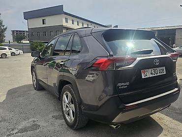 sprinter 4 4: Toyota RAV4: 2020 г., Гибрид, Кроссовер — 4