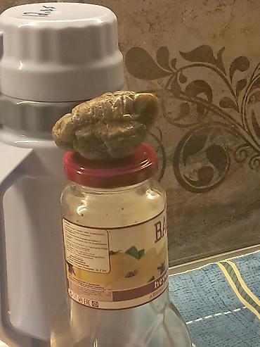 Dekorativ daşlar: Məhsul: Toplanmış təbii daşlar dəsti Təsvir: - Fərqli ölçü və — 5