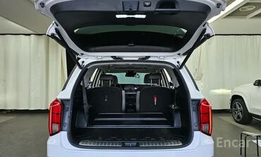 Hyundai: Hyundai Palisade: 2020 г. — 20