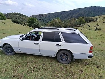 mersedes 212: Mercedes-Benz W124: 1991 г., 2.9 л, Механика, Дизель, Универсал — 8