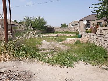 Torpaq sahələrinin satışı: 3 sot, Bələdiyyə -da lalafo.az — 1 Torpaq sahələrinin satışı: 3 sot, Bələdiyyə — 1