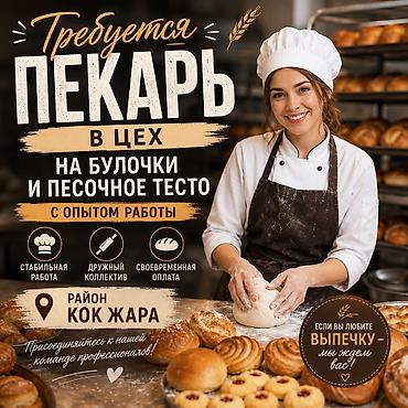 smart logistics: Требуется Пекарь, Оплата: Еженедельно, 1-2 года опыта — 1