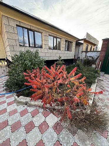 чолпон аиа: Продается дом в городе Чолпон ата. С большим участком 15 соток — 1