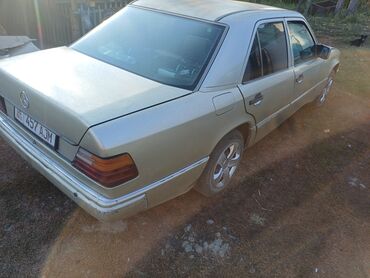 Mercedes-Benz: Mercedes-Benz W124: 1991 г., 2.3 л, Механика, Бензин, Седан