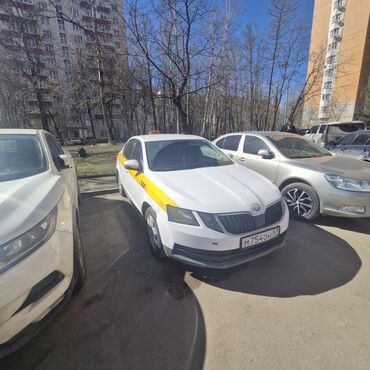Skoda: Skoda Octavia: 2017 г., 1.6 л, Механика, Бензин, Седан