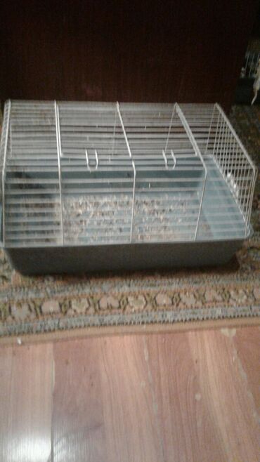 Qəfəslər: Xamyak ucun Qefes satilir qiyməti 25 azn bashqa qefeslerde var -da lalafo.az — 14 Qəfəslər: Xamyak ucun Qefes satilir qiyməti 25 azn bashqa qefeslerde var — 14