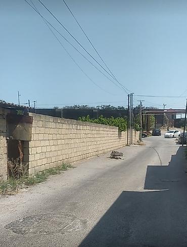 nzs: 8 sot, Tikinti, Mülkiyyətçi, Texniki pasport — 1