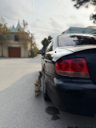 Hyundai: Salam mator karobkada problem yoxdur. peredokunda ses var kasmetika — 6