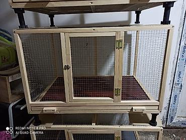 qus vuran: Taxta karkaslı, metal torlu geniş heyvan qəfəsi - Material: təbii — 5