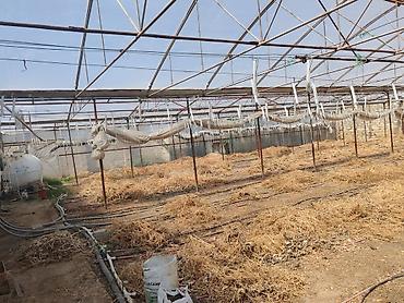 Bağ evi və bağ üçün hər şey: 17 sotluq parnik ləvazimatları satılır – tam komplekt Tərkib: - — 8