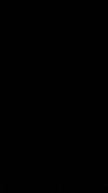 çubus it: Xaski, 1 il, Erkək — 1