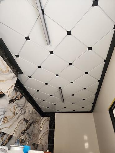 Потолочные работы: Туникафон сикитка + — 3