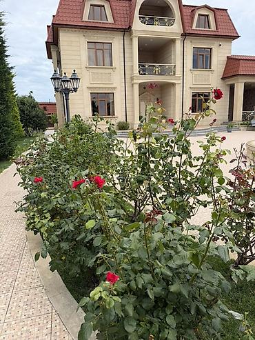 sekide: 6 otaqlı, 1000 kv. m, Kredit yoxdur, Yeni təmirli — 7
