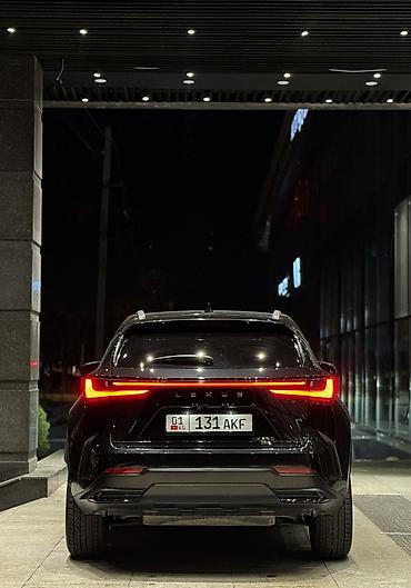 Lexus: Lexus NX: 2023 г., 2.4 л, Автомат, Бензин, Кроссовер — 4