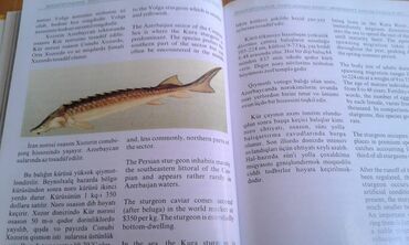 Ensiklopediyalar: Müxtəlif kitablar satılır. Biri 40 manat. "Nərəkimilər - dinozavrların -da lalafo.az — 9 Ensiklopediyalar: Müxtəlif kitablar satılır. Biri 40 manat. "Nərəkimilər - dinozavrların — 9
