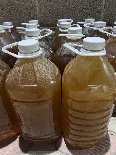 натуральные соки: Продаю мёд. Иссык-Кульский, горный. Натуральный 100%. В 5 литровой