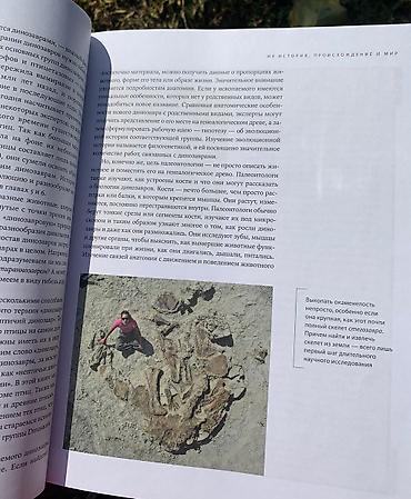 Другие книги и журналы: Книга «Динозавры» Новая, покупали в Букингем, нигде не порвано, не — 9