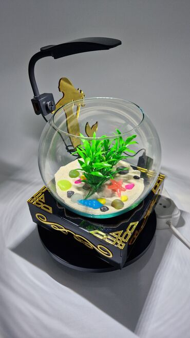 Akvariumlar: Yumru akvarium, Balıqlarla birlikdə, 3 l, Pulsuz çatdırılma — 12