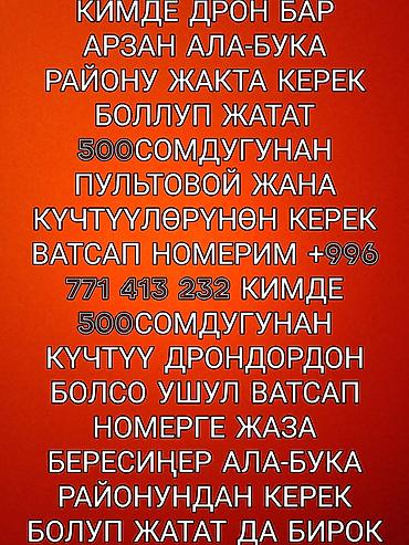 монитор компа: Ищу мощный дрон с пультом управления. Нужен недорого, предпочтительно — 1