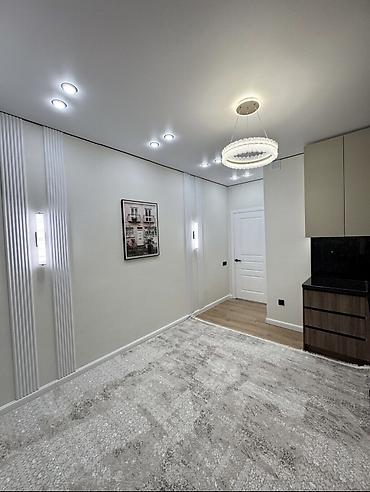 312: 1 комната, 44 м², Элитка, 7 этаж, Свежий ремонт — 7